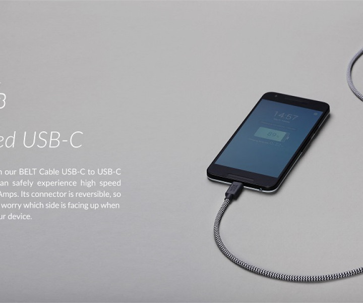 Кабель Native Union Belt Cable Type-C (2.4M) V2 Zebra